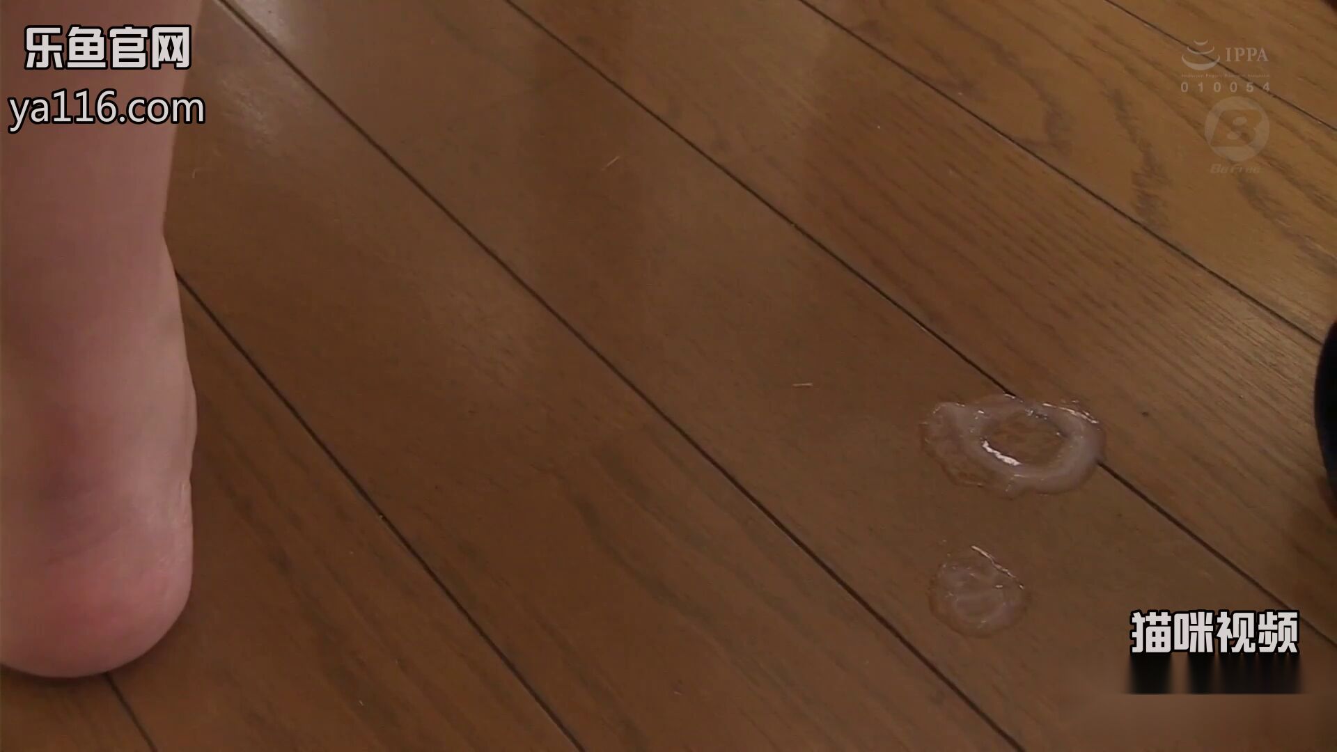 Blog image 8